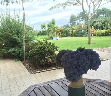 Marco de Canaveses Villa | Quinta do Pinheiral