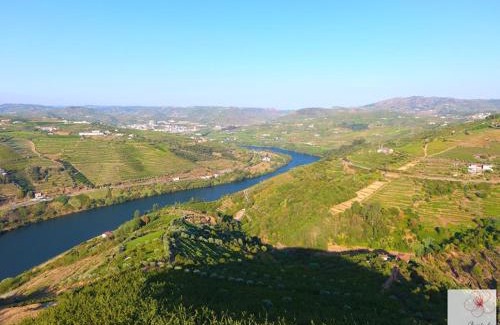 Samodaes Villa | Quinta do Pombal Douro