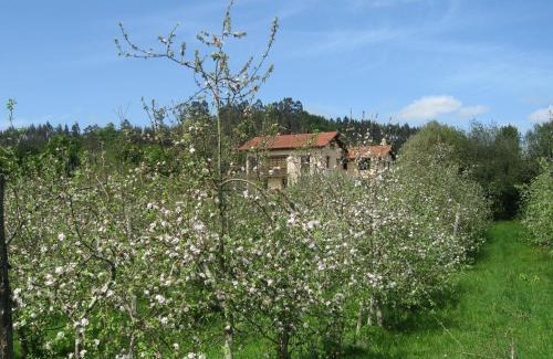 Camoca Apartment | Quinta El Verxel - Ecoturismo