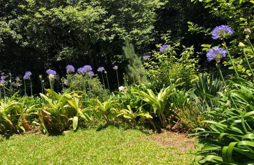 Camacha Villa | Quintinha de Palmyra