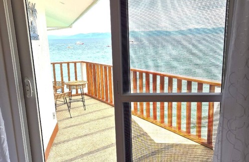 Basdiot Hotel | Quo Vadis Dive Resort Moalboal