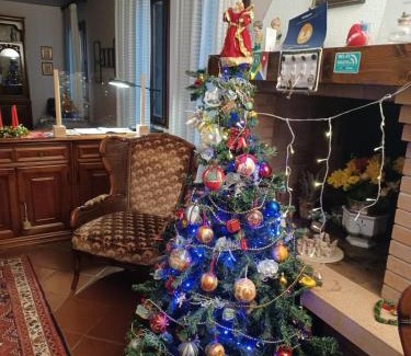 Rovigo Bed & Breakfast | Quo Vadis Qui Vieni