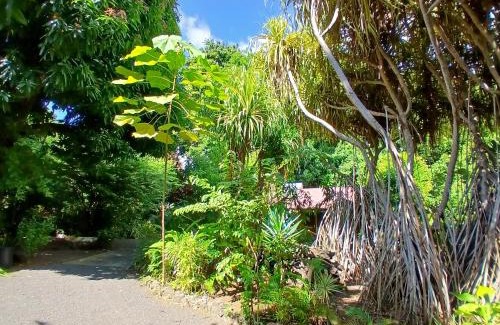 Pointe-Noire House | Résidence Les Manguiers