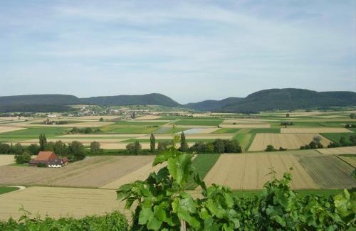 Trasadingen House | Rüedi - WeinFassHotel