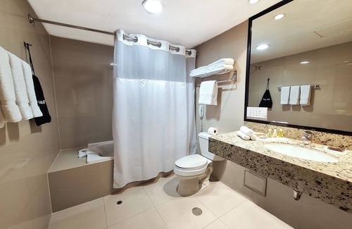 Petit Jean Ocharan Hotel | Radisson Hotel Decapolis Miraflores