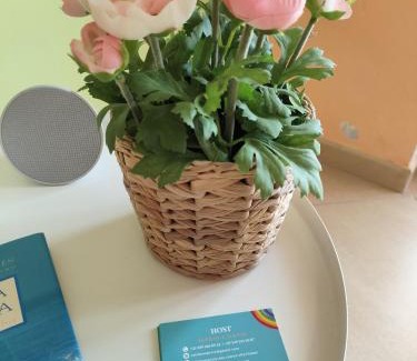 Praia a Mare Apartment | Rainbow Seafront Apartment