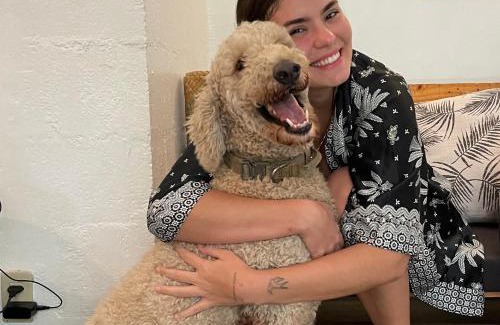 Morong House | RAINFOREST Nest Self-Service Home in Subic Bay - Monkeys, Bats, Roofdeck!