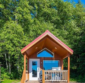Forks Apartment | Rainforest Tiny Home Retreat #15
