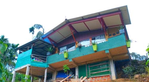Kotapola House | Rainforest View