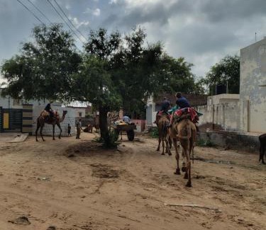 Nokha Other | raju shing desert safari