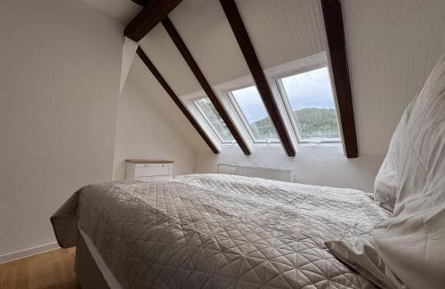 Bad Wildbad Apartment | Ramoni Apartments