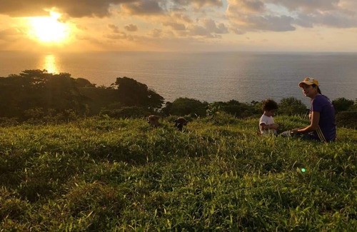 Mechi Hotel | Rancho Juancho