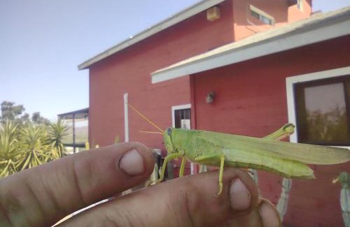 Valle de Guadalupe Cabin | Rancho los Amigos Cabin Lodge