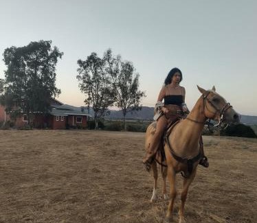 Valle de Guadalupe Cabin | Rancho los Amigos Cabin Lodge