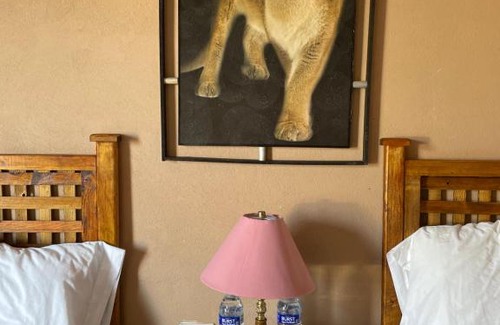 San Miguel de Allende Hotel | Rancho los olivos Habitaciones Campestres