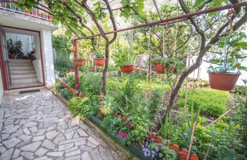 Risan Apartment | Ranko Apartments