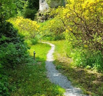 Rosenthal-Bielatal House | Rapunzel trifft Dornröschen