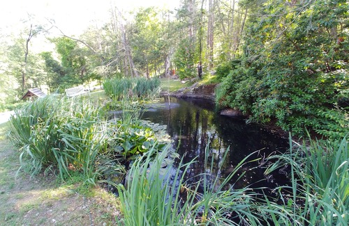 Dover Plains RV Rental | Rare, peaceful glamping, hot shower, mini golf near appalachian trail