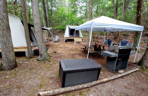 Dover Plains RV Rental | Rare, peaceful glamping, hot shower, mini golf near appalachian trail