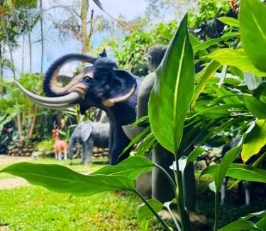 Bandarawela Hotel | Rawana Mount View - Ella