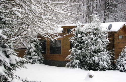 Altamont Cabin | Real Logs-1BR, sleeping loft & futon-sleeps 6. Riverside w/Hot Tub