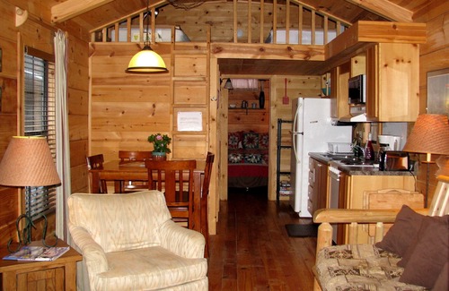 Altamont Cabin | Real Logs-1BR, sleeping loft & futon-sleeps 6. Riverside w/Hot Tub