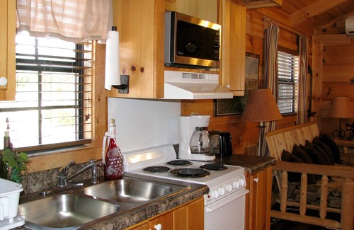 Altamont Cabin | Real Logs-1BR, sleeping loft & futon-sleeps 6. Riverside w/Hot Tub