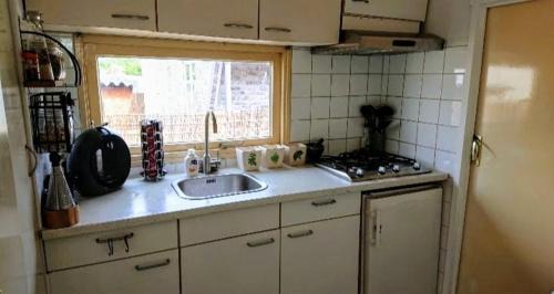 Anloo Ski Chalet | "Red Cedar" Ruime chalet met zonnige veranda