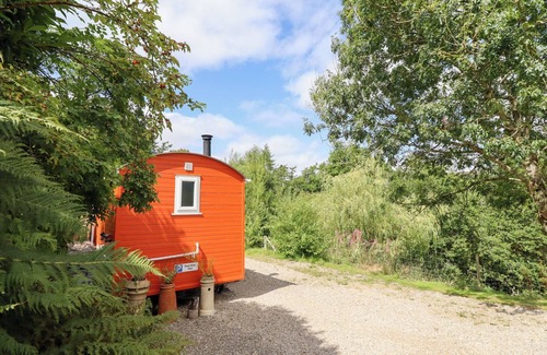 Oswestry Cottage | Red Kite at Wild Valley Huts
