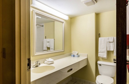 Morehead Hotel | Red Roof Inn Morehead