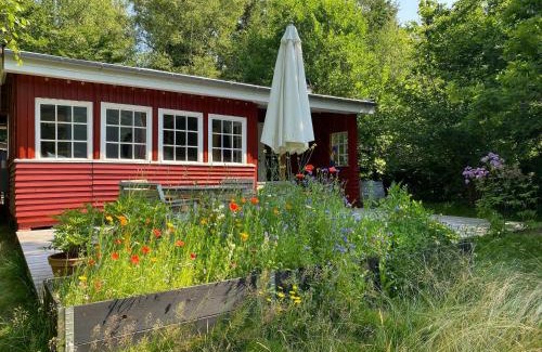 Ramlose House | Red Wood House Within Frederiksværk's Nature