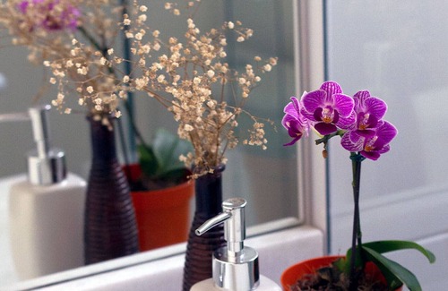 Copacabana Bed & Breakfast | Rede Reserva Copacabana