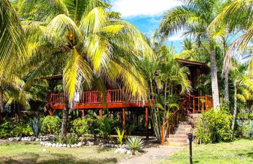 Mechapa Hotel | Redwood Beach Resort