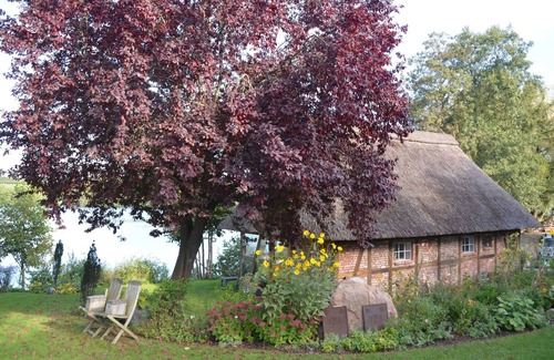 Grebin House | Reetdachkate on stud Schierensee - Fischerkate