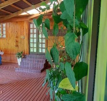 Nova Trento House | Refúgio nas Montanhas