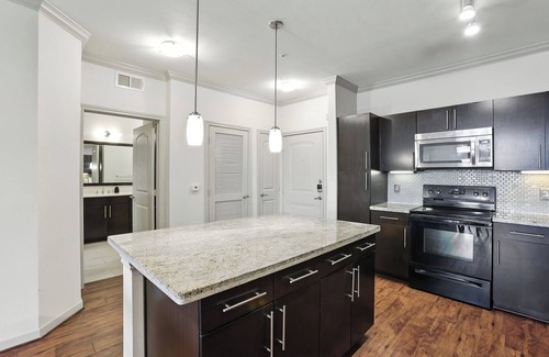 South Main Apartment | Regards At Med Center 372 I Spacious 1 Bed 1 Bath