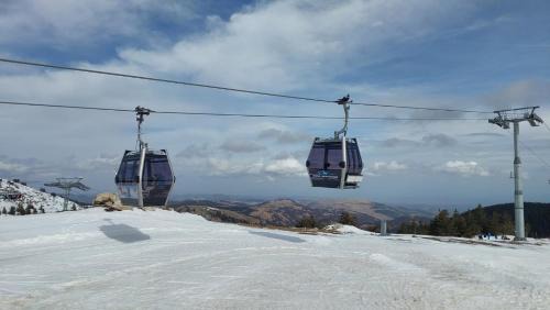 Kopaonik Apartment | Regulus apartment Brzeće Kopaonik