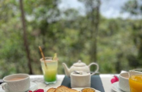 Andasibe Hotel | Relais De Mantadia