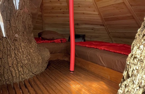 Farmersville Bed & Breakfast | Relax amongst the trees in this beautiful romantic treehouse