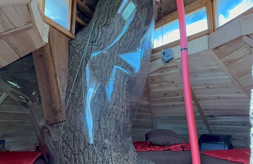 Farmersville Bed & Breakfast | Relax amongst the trees in this beautiful romantic treehouse