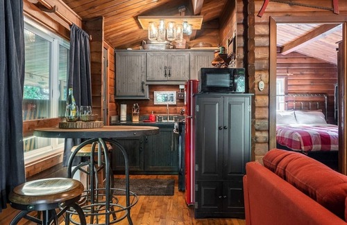 North Bend Cabin | Relax at this Peaceful 1 bedroom cabin on the river