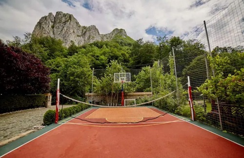 Ramet Villa | ⚡️🍀Relax in Transylvania at Ramet Mansion - Alba🍀⚡️