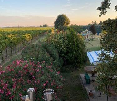 Solarolo Villa | Relaxing house with exclusive swimming pool, close to Imola and Faenza, 4 bathrooms