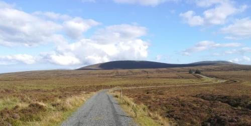 Kilpedder Bed & Breakfast | Relaxing space.