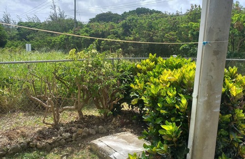 Retreat Apartment | Relaxing vacation home getaway where you can experience local Barbadian culture
