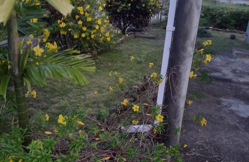 Retreat Apartment | Relaxing vacation home getaway where you can experience local Barbadian culture