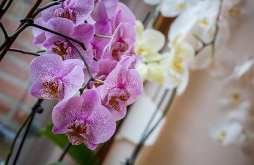 Municipality of Kerkrade Bed & Breakfast | Rene's B&B