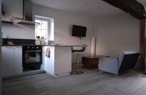 La Ferte-Saint-Aubin House | Renovated house in a charming Sologne town