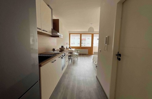 Loerrach Apartment | Renovated loft with parking space and balcony