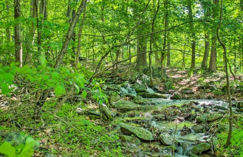 Crozet Apartment | Renovated Studio on 5 Acres - Near Vineyards!